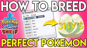 HOW TO BREED PERFECT IV POKEMON - Pokemon Sword and Shield - YouTube