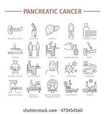 Pancreatic cancer is known as a silent disease because identifiable symptoms are not usually present in the early stages of the disease. Pancreatic Pancreas Cancer Symptoms Causes Diagnostics Stock Vector Royalty Free 473454160