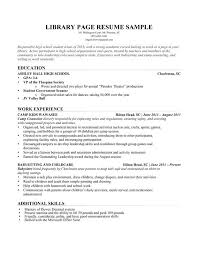 Professional Curriculum Vitae Samples 