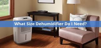 What Size Dehumidifier Do I Need For