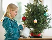 What is the best thing to add to Christmas tree water?