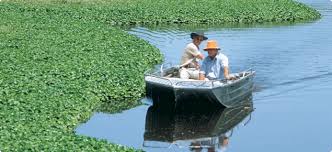 Aquatic Weed Control Agriculture And Food