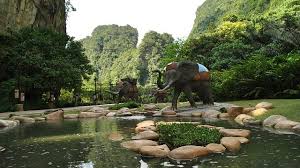 Actually, i was surprised how great it all looked considering the low entry price. The Lost World Of Tambun Review Ipoh Perak