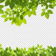 green leafed plant leaf green