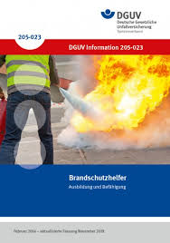 Aufgaben als brandschutzbeauftragter sind im dokument ebenfalls aufgeführt. Brandschutzhelfer Dguv Publikationen