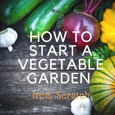 Start A Vegetable Garden From Scratch