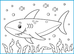 10 contoh sketsa hiu n dan mudah