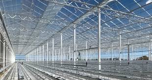 S4 Greenhouses 2021 Irrigation