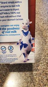 Lactose-free milk mascot doesn't have an udder. : r/mildlyinteresting