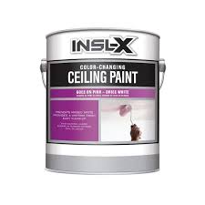 Insl X Color Changing Ceiling Paint 1
