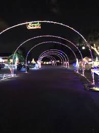 A Guide To The Best Christmas Lights In The Srq Area Best
