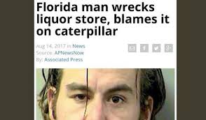 July 22, 2021 10:30 pm. Florida Man Wrecks Liquor Store Blames It On Caterpillar Florida Man Challenge Has Some Hilarious Results Independent Ie