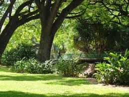College of liberal arts & sciences. A Park Not A Botanical Garden Review Of Lili Uokalani Botanical Garden Honolulu Hi Tripadvisor