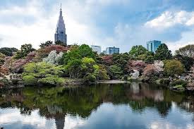 tokyo anese gardens