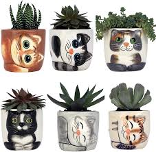 Wikipedia is a free online encyclopedia, created and edited by volunteers around the world and hosted by the wikimedia foundation. Window Garden Animal Planters 6 Mini Succulent Kitty Pots Cute Decoration For Indoor Home Decor Office Desk Or Kitchen Windowsill Purrfect Cat Lover Plant Gift For Women Adults Kids Moms Dad Kitchen Dining Amazon Com