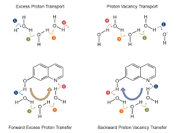 Forward Or Backward New Pathways For Protons In Water Or