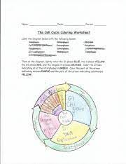 The cell cycle coloring worksheet answers. Cell Cycle Coloring Worksheet Name Date Period The Cell Cycle Coloring Worksheet Label The Diagram Below With The Following Labels Then On The Diagram Course Hero
