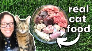 how to make homemade cat food full