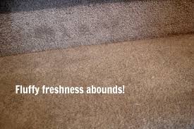 stubborn carpet stains
