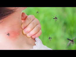can mosquitoes spread hiv lyme disease