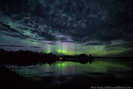 minnesota northern lights viewing and