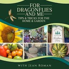 For Dragonflies And Me