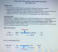 week 8 lab photosynthesis and cellular