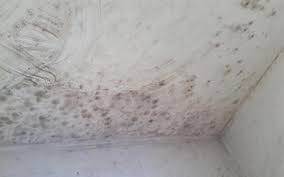 Bathroom Mould And Mildew How To Stop