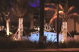 Palm trees with christmas lights pictures. Palm Tree Lighting By Amazing Flowers Miami