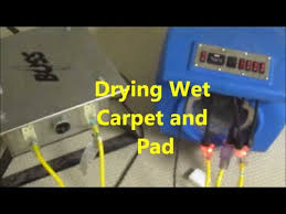 drying wet carpet and pad you