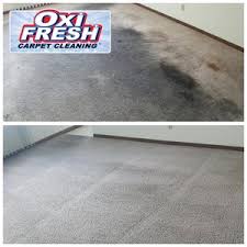 top 10 best rug cleaning in jackson tn