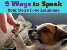 speak your dog s love age
