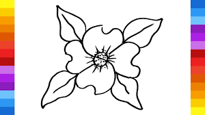 how to draw a dogwood flower from