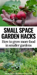 Grow More Food In A Small Garden