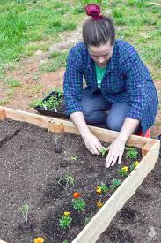 diy l shaped garden bed ugly duckling