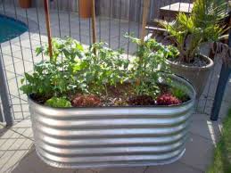 Raised Garden Bed 10 Tips To Get The