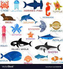 oceanarium ocean s and fishes