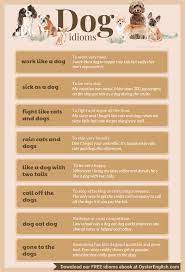 pawesome dog idioms