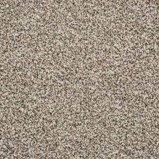 carpet remnant c 454 shaw remember me
