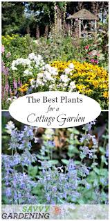 See more ideas about planting flowers, flower garden, beautiful flowers. A List Of Cottage Garden Plants The Ultimate Guide