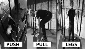 push pull legs program ppl