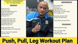 push pull leg workout plan mukesh