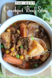 the best crockpot beef stew family