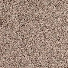 preciosa neutral ground carpet at lowes