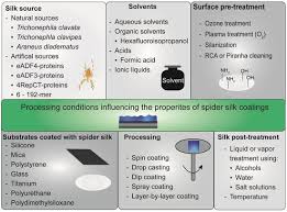 spider silk coatings