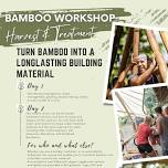 Bambooworkshop - Harvest and Treatment - Turn...
