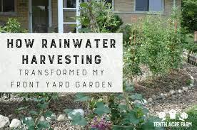 how rainwater harvesting transformed my