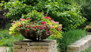 Flower Container Ideas For An Instant