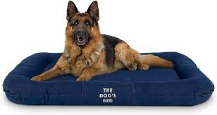 The 17 Best Durable Dog Beds The Dog