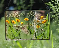 Framed Flowers Dried Flower Frame